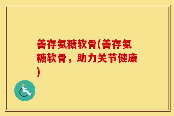 善存氨糖软骨(善存氨糖软骨,助力关节健康) 善存氨糖软骨(善存氨糖软骨,助力关节健康)