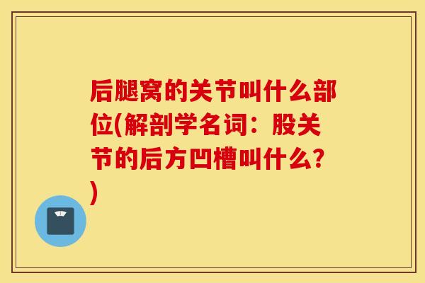 后腿窝的关节叫什么部位(解剖学名词:股关节的后方凹槽叫什么?) 后腿窝的关节叫什么部位(解剖学名词:股关节的后方凹槽叫什么?)