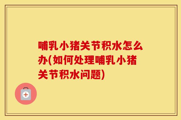 哺乳小猪关节积水怎么办(如何处理哺乳小猪关节积水问题) 哺乳小猪关节积水怎么办(如何处理哺乳小猪关节积水问题)