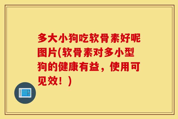 多大小狗吃软骨素好呢图片(软骨素对多小型狗的健康有益,使用可见效!) 多大小狗吃软骨素好呢图片(软骨素对多小型狗的健康有益,使用可见效!)