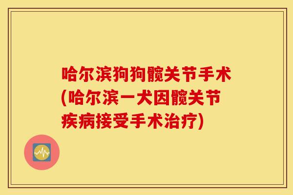 哈尔滨狗狗髋关节手术(哈尔滨一犬因髋关节接受手术) 哈尔滨狗狗髋关节手术(哈尔滨一犬因髋关节接受手术)