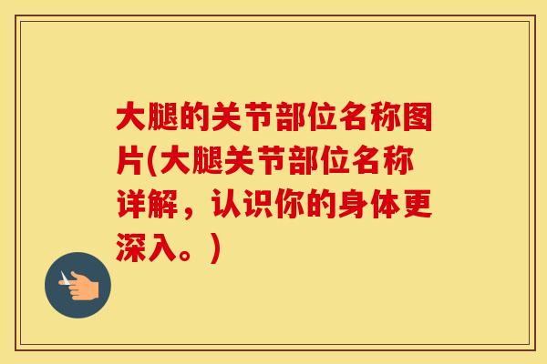 大腿的关节部位名称图片(大腿关节部位名称详解，认识你的身体更深入。)