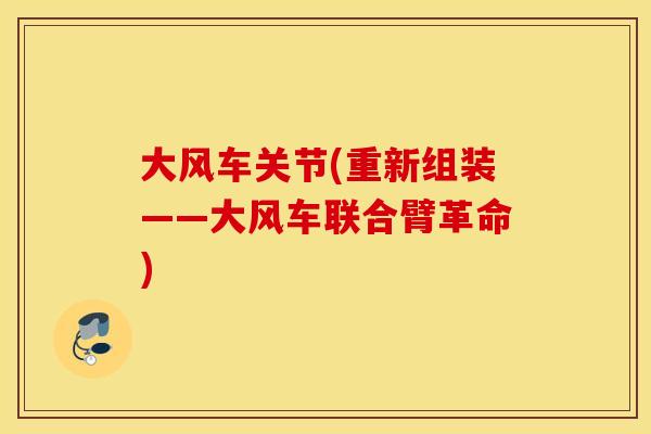 大风车关节(重新组装——大风车联合臂革命) 大风车关节(重新组装——大风车联合臂革命)