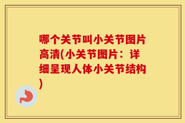 哪个关节叫小关节图片高清(小关节图片：详细呈现人体小关节结构)