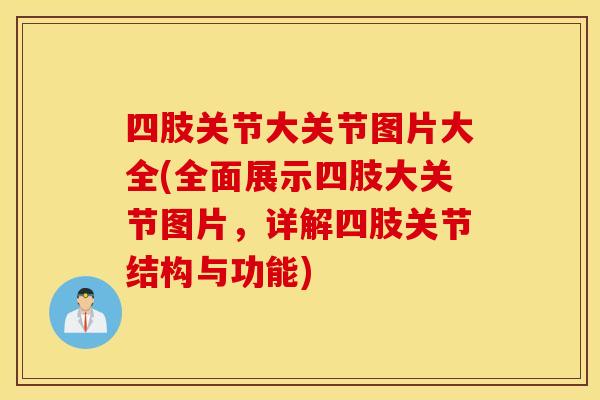 四肢关节大关节图片大全(全面展示四肢大关节图片,详解四肢关节结构与功能) 四肢关节大关节图片大全(全面展示四肢大关节图片,详解四肢关节结构与功能)