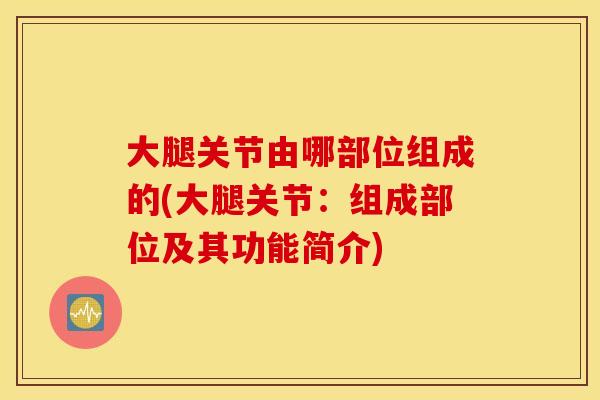 大腿关节由哪部位组成的(大腿关节:组成部位及其功能简介) 大腿关节由哪部位组成的(大腿关节:组成部位及其功能简介)