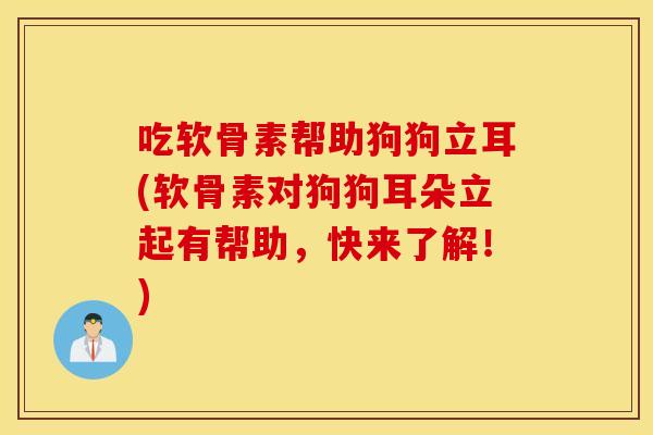 吃软骨素帮助狗狗立耳(软骨素对狗狗耳朵立起有帮助，快来了解！)