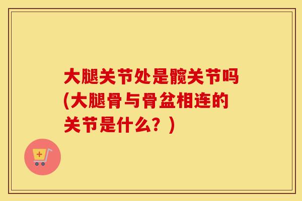 大腿关节处是髋关节吗(大腿骨与骨盆相连的关节是什么？)