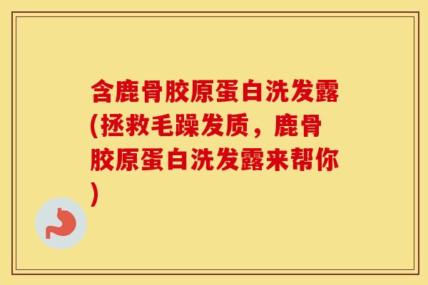 含鹿骨胶原蛋白洗发露(拯救毛躁发质，鹿骨胶原蛋白洗发露来帮你)