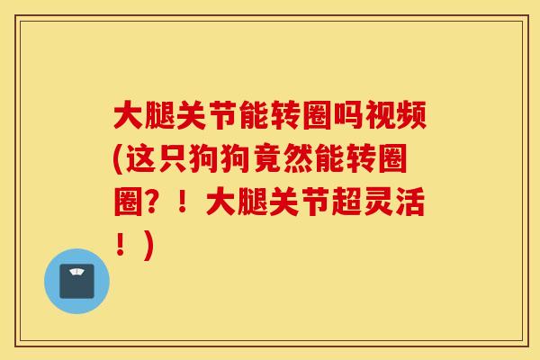 大腿关节能转圈吗视频(这只狗狗竟然能转圈圈?!大腿关节超灵活!) 大腿关节能转圈吗视频(这只狗狗竟然能转圈圈?!大腿关节超灵活!)