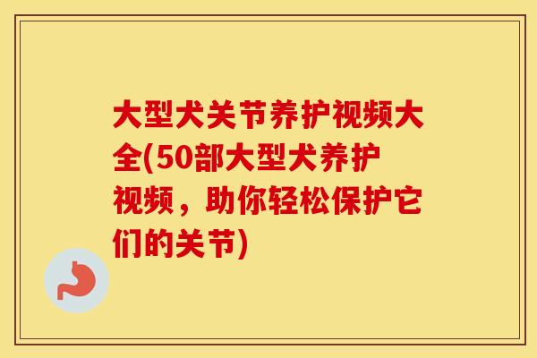 大型犬关节养护视频大全(50部大型犬养护视频,助你轻松保护它们的关节) 大型犬关节养护视频大全(50部大型犬养护视频,助你轻松保护它们的关节)