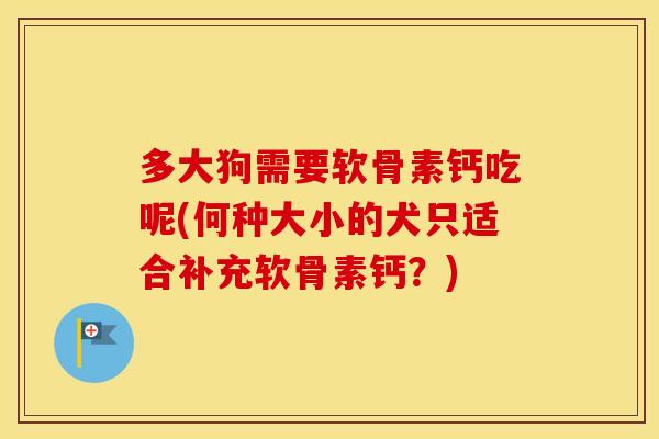 多大狗需要软骨素钙吃呢(何种大小的犬只适合补充软骨素钙?) 多大狗需要软骨素钙吃呢(何种大小的犬只适合补充软骨素钙?)