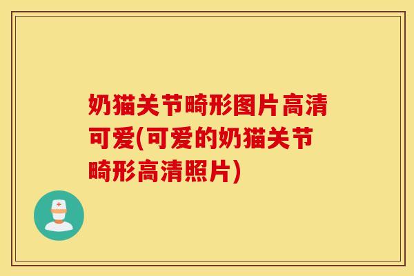 奶猫关节畸形图片高清可爱(可爱的奶猫关节畸形高清照片) 奶猫关节畸形图片高清可爱(可爱的奶猫关节畸形高清照片)