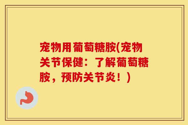 宠物用葡萄糖胺(宠物关节保健：了解葡萄糖胺，！)