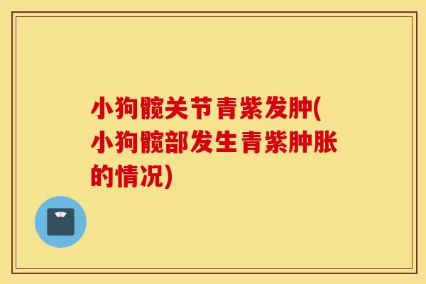 小狗髋关节青紫发肿(小狗髋部发生青紫的情况) 小狗髋关节青紫发肿(小狗髋部发生青紫的情况)