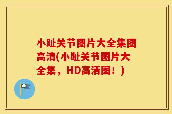 小趾关节图片大全集图高清(小趾关节图片大全集，HD高清图！)