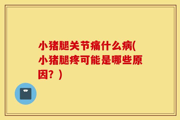 小猪腿关节痛什么(小猪腿疼可能是哪些原因?) 小猪腿关节痛什么(小猪腿疼可能是哪些原因?)