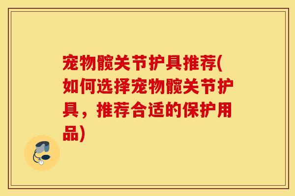 宠物髋关节护具推荐(如何选择宠物髋关节护具,推荐合适的保护用品) 宠物髋关节护具推荐(如何选择宠物髋关节护具,推荐合适的保护用品)