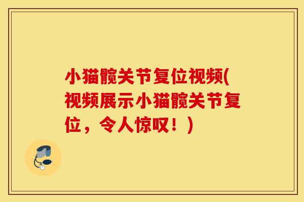 小猫髋关节复位视频(视频展示小猫髋关节复位,令人惊叹!) 小猫髋关节复位视频(视频展示小猫髋关节复位,令人惊叹!)