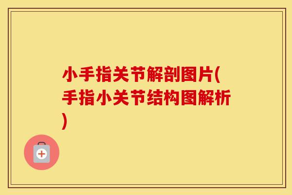 小手指关节解剖图片(手指小关节结构图解析) 小手指关节解剖图片(手指小关节结构图解析)