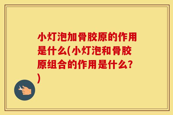 小灯泡加骨胶原的作用是什么(小灯泡和骨胶原组合的作用是什么?) 小灯泡加骨胶原的作用是什么(小灯泡和骨胶原组合的作用是什么?)