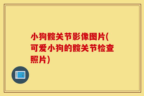 小狗髋关节影像图片(可爱小狗的髋关节检查照片)