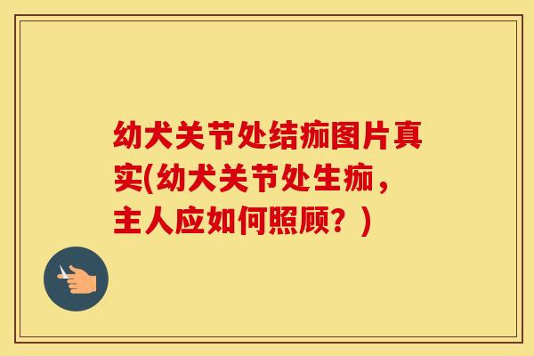 幼犬关节处结痂图片真实(幼犬关节处生痂,主人应如何照顾?) 幼犬关节处结痂图片真实(幼犬关节处生痂,主人应如何照顾?)