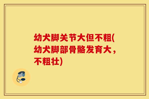 幼犬脚关节大但不粗(幼犬脚部骨骼发育大，不粗壮)