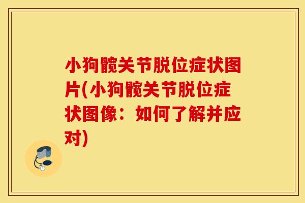 小狗髋关节脱位症状图片(小狗髋关节脱位症状图像：如何了解并应对)