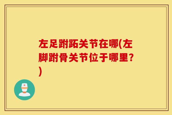 左足跗跖关节在哪(左脚跗骨关节位于哪里？)