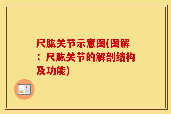 尺肱关节示意图(图解:尺肱关节的解剖结构及功能) 尺肱关节示意图(图解:尺肱关节的解剖结构及功能)