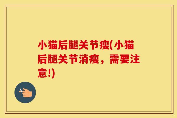 小猫后腿关节瘦(小猫后腿关节消瘦,需要注意!) 小猫后腿关节瘦(小猫后腿关节消瘦,需要注意!)