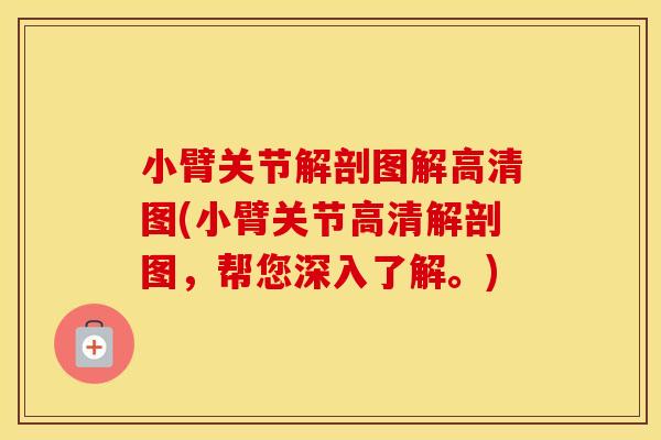 小臂关节解剖图解高清图(小臂关节高清解剖图,帮您深入了解。) 小臂关节解剖图解高清图(小臂关节高清解剖图,帮您深入了解。)