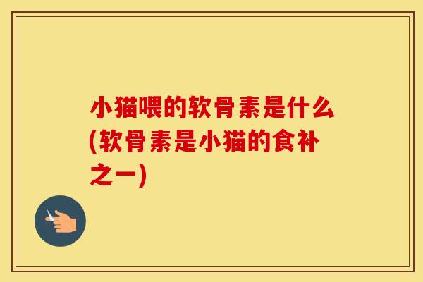小猫喂的软骨素是什么(软骨素是小猫的食补之一) 小猫喂的软骨素是什么(软骨素是小猫的食补之一)