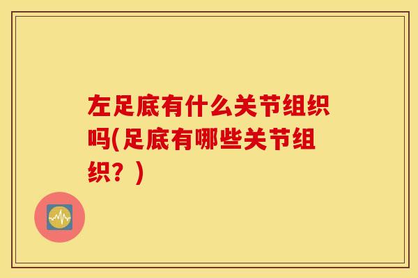 左足底有什么关节组织吗(足底有哪些关节组织？)
