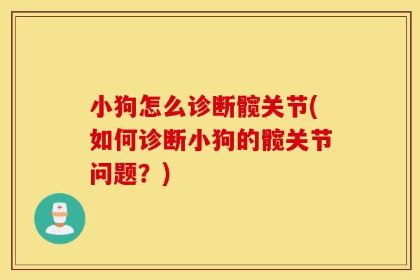 小狗怎么诊断髋关节(如何诊断小狗的髋关节问题?) 小狗怎么诊断髋关节(如何诊断小狗的髋关节问题?)