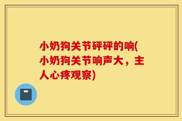 小奶狗关节砰砰的响(小奶狗关节响声大,主人心疼观察) 小奶狗关节砰砰的响(小奶狗关节响声大,主人心疼观察)