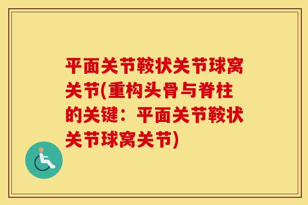 平面关节鞍状关节球窝关节(重构头骨与脊柱的关键:平面关节鞍状关节球窝关节) 平面关节鞍状关节球窝关节(重构头骨与脊柱的关键:平面关节鞍状关节球窝关节)