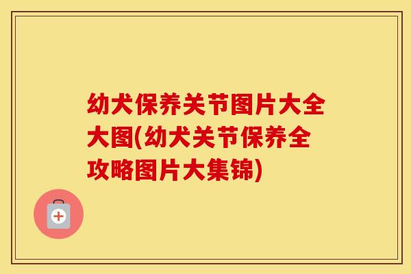 幼犬保养关节图片大全大图(幼犬关节保养全攻略图片大集锦) 幼犬保养关节图片大全大图(幼犬关节保养全攻略图片大集锦)