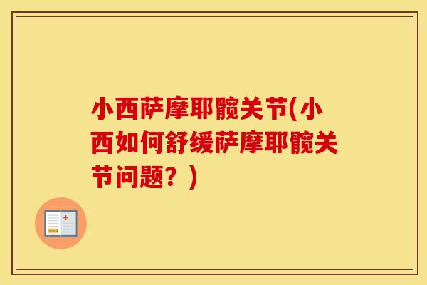 小西萨摩耶髋关节(小西如何舒缓萨摩耶髋关节问题?) 小西萨摩耶髋关节(小西如何舒缓萨摩耶髋关节问题?)