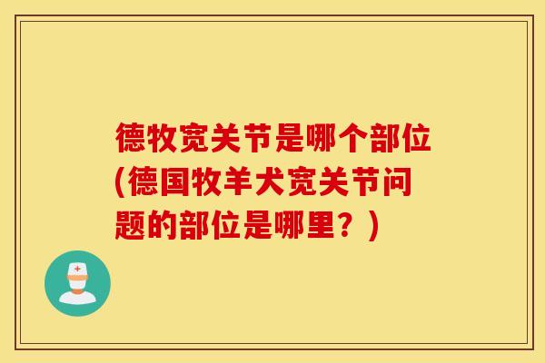 德牧宽关节是哪个部位(德国牧羊犬宽关节问题的部位是哪里？)