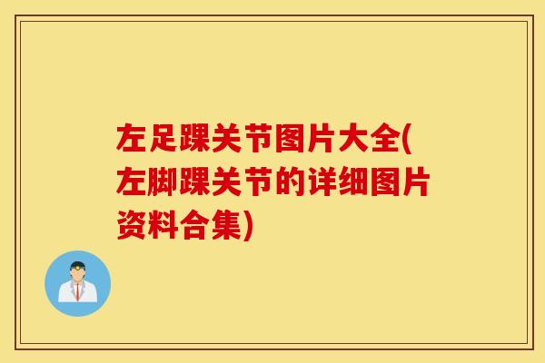 左足踝关节图片大全(左脚踝关节的详细图片资料合集) 左足踝关节图片大全(左脚踝关节的详细图片资料合集)