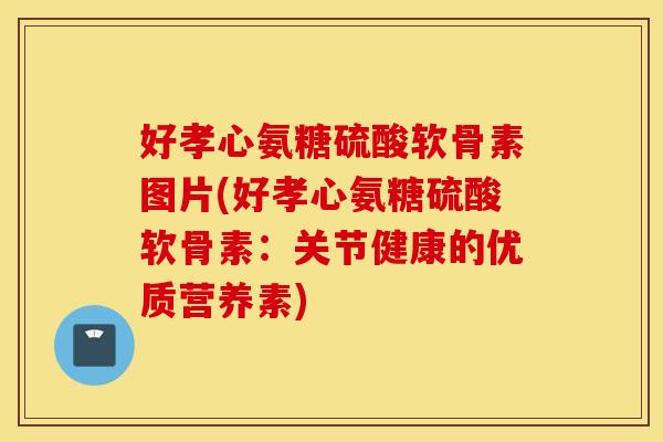 好孝心氨糖硫酸软骨素图片(好孝心氨糖硫酸软骨素:关节健康的优质营养素) 好孝心氨糖硫酸软骨素图片(好孝心氨糖硫酸软骨素:关节健康的优质营养素)