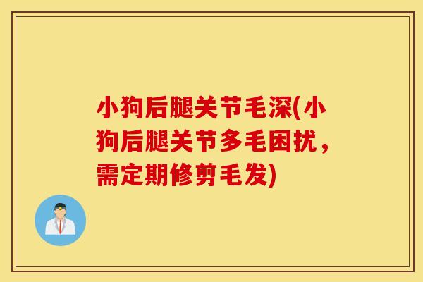 小狗后腿关节毛深(小狗后腿关节多毛困扰,需定期修剪毛发) 小狗后腿关节毛深(小狗后腿关节多毛困扰,需定期修剪毛发)