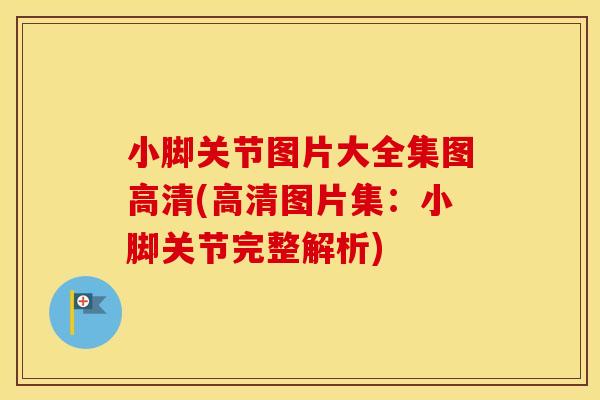 小脚关节图片大全集图高清(高清图片集:小脚关节完整解析) 小脚关节图片大全集图高清(高清图片集:小脚关节完整解析)