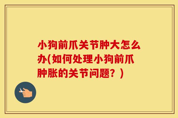 小狗前爪关节肿大怎么办(如何处理小狗前爪的关节问题?) 小狗前爪关节肿大怎么办(如何处理小狗前爪的关节问题?)