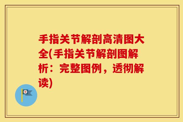 手指关节解剖高清图大全(手指关节解剖图解析:完整图例,透彻解读) 手指关节解剖高清图大全(手指关节解剖图解析:完整图例,透彻解读)