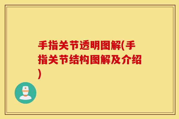 手指关节透明图解(手指关节结构图解及介绍) 手指关节透明图解(手指关节结构图解及介绍)