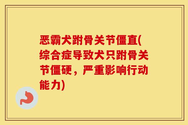 恶霸犬跗骨关节僵直(综合症导致犬只跗骨关节,严重影响行动能力) 恶霸犬跗骨关节僵直(综合症导致犬只跗骨关节,严重影响行动能力)