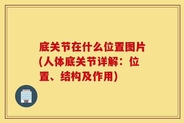 底关节在什么位置图片(人体底关节详解:位置、结构及作用) 底关节在什么位置图片(人体底关节详解:位置、结构及作用)